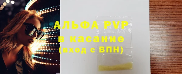 сатива Верея