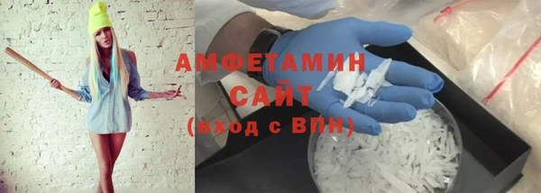 сатива Верея