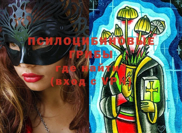 шишки Верхний Тагил
