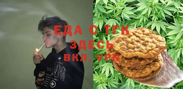 шишки Верхний Тагил