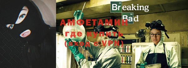 шишки Верхний Тагил